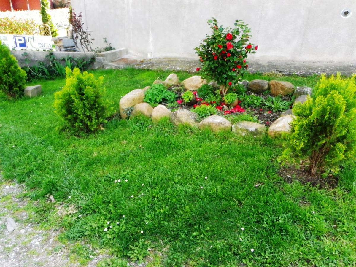 Casa Rural Sofia Ordesa Escalona Esterno foto
